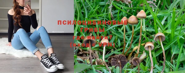 PSILOCYBIN Нея